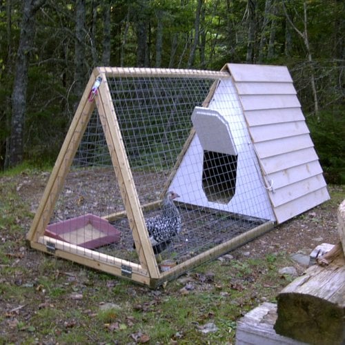 Simple Chicken Coops