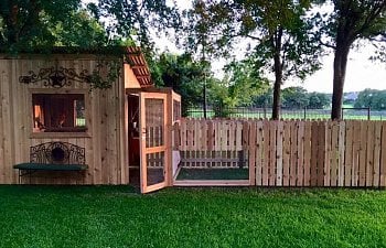 Building a Chicken Coop? Do's, Don'ts and Things to Consider.