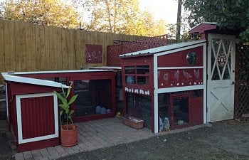 Deedee's Inn: low-cost coop, run, and yard from Craiglist finds and freebies