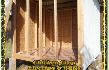 Chicken Coop Building Project
