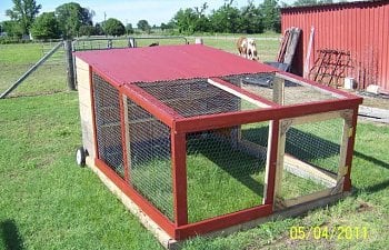 Our Chicken Tractor