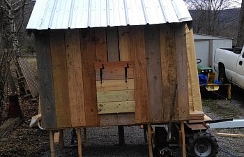 Built my coop from scratch using scrap and donated materials...