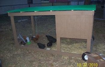 Our First Chicken Tractor