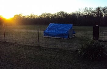 Pastured Poultry Shelter (8x8)