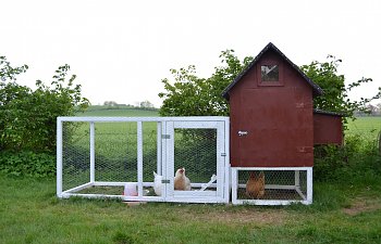Chickenanya's Swedish coop