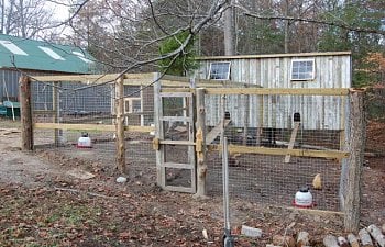 Barred Rockers Chicken Coop