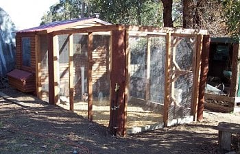 My New Chicken Coop And Run