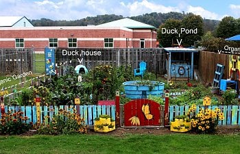 Ducks in the Garden