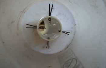 Bucket/PVC feeder