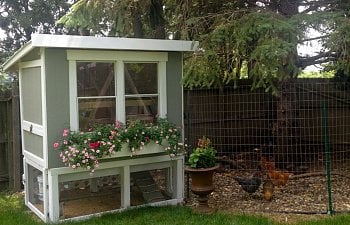 A Coop For Girly Girls!