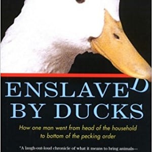 Enslaved by Ducks