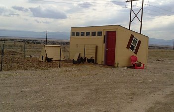 Half Chicken Coop / Half Atv garage