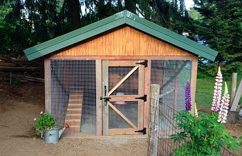 Repurposed Garden Shed to Quaint Coop
