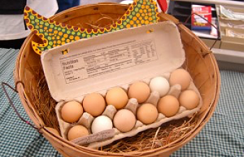 Egg Laws in the U.S.A
