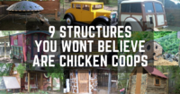 9 Structures You Won't Believe Are Chicken Coops!