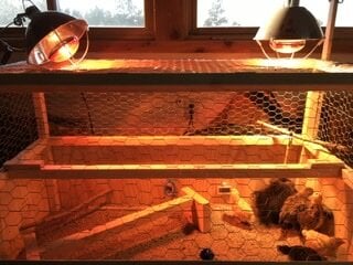 From Greenhouse to Duck Coop