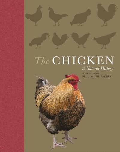 The Chicken: a natural history