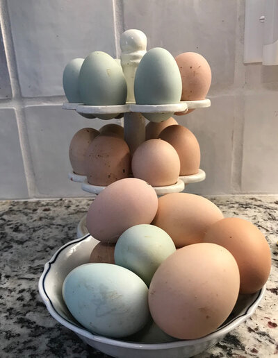 eggs2021.jpg