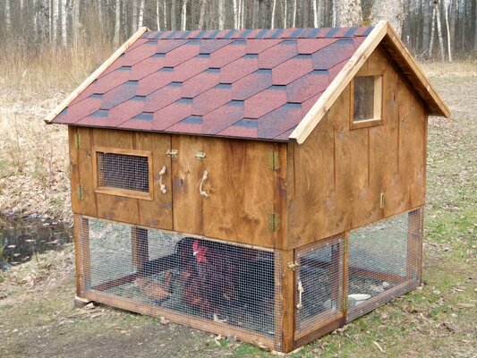 A chicken-coop & rabbit-hutch: "The Bird & Bunny"