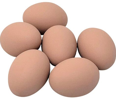 Cackle Hatchery Ceramic Nest Eggs (6ct)