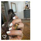 Chick 3_Wk2_004.png
