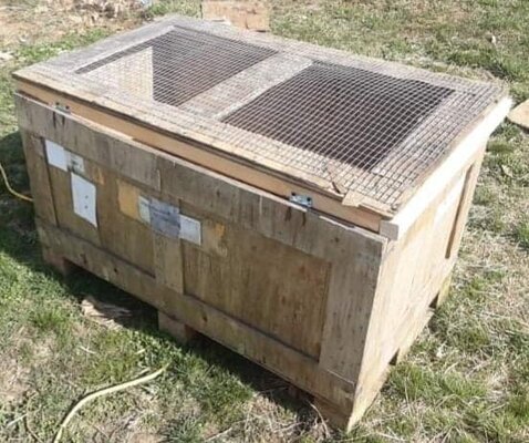 Wood Packing Crate Brooder