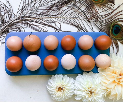 Storing Eggs, and Keeping Them Fresh