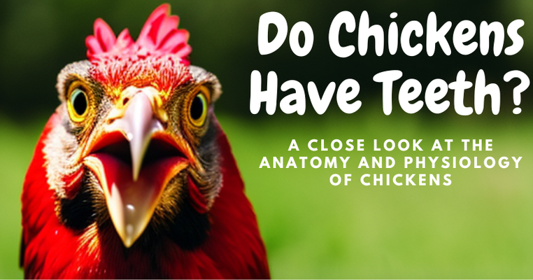 Do Chickens Have Teeth? A Close Look at the Anatomy and Physiology of Chickens