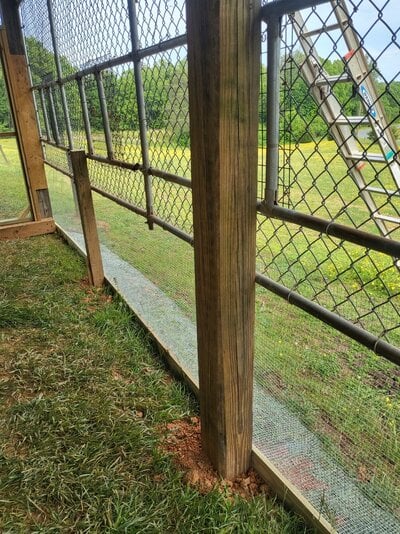 inside coop fence- finished.jpg