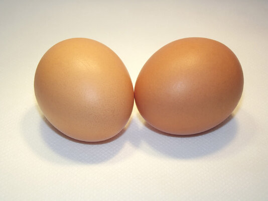 2-eggs-in-shell.jpg