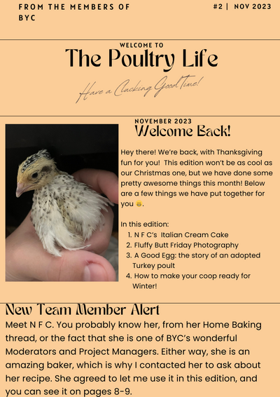 The Poultry Life November