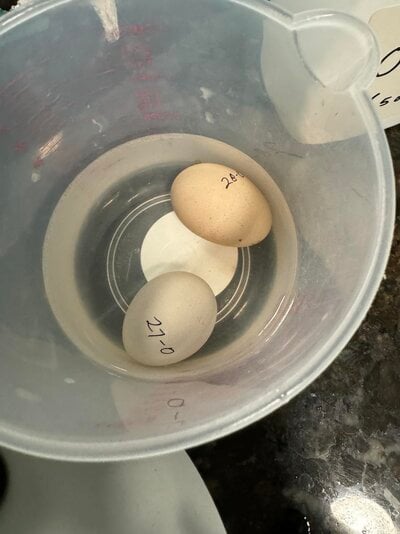 soaking odoban eggs 1.jpg