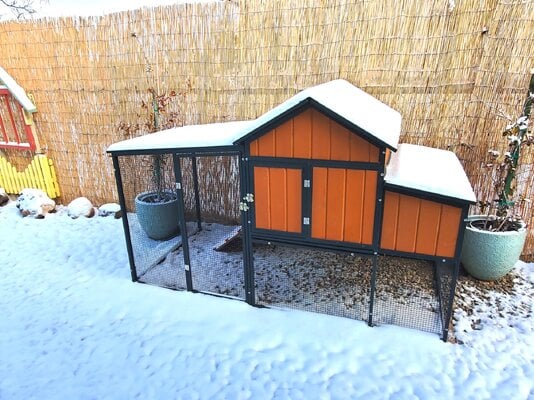 Hen House in Snow 2-2-22 1.jpg