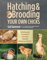 Hatching & Brooding Your Own Chicks by Gail, Damerow (2013)