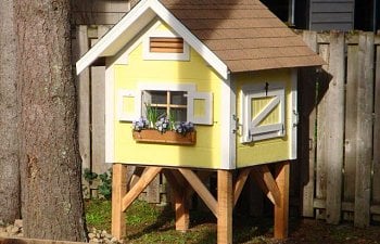 Trictle's Chicken Coop With Plans