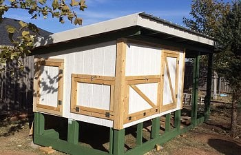 Our New Fancy Coop - Coopmom56