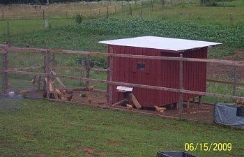 Our 1st Chicken Run And Coop