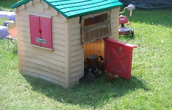 Egghead Jrs Chicken Coop Tractor