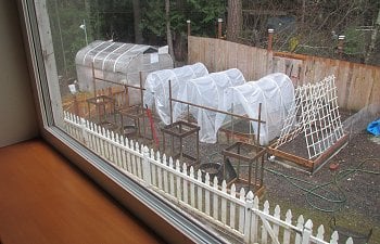 My Greenhouse Coop