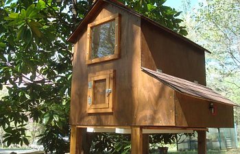 Fivehens Awesome Coop Construction Page