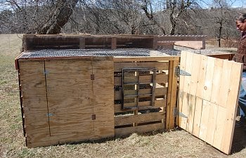Free Coop From Pallets
