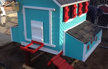 Playhouse style medium coop with 6 nesting boxes