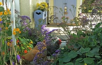 Gardenerds Gardening With Backyard Chickens Chicken Coop