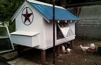Coop built using ALL recycled and repurposed materials!
