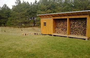 8x8 Coop with Woodshed