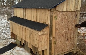 Pallet coop in the making!