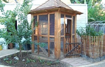 California Chicken Coop Plans Drawings Included