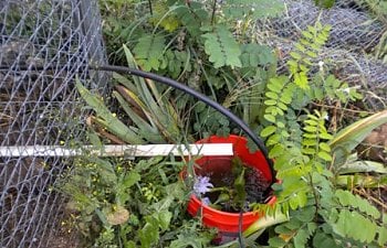 Frugal Ques Automatic Waterer