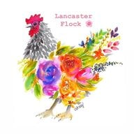 lancasterflock