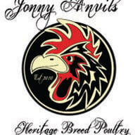 Jonny Anvil